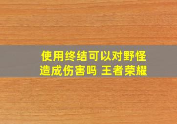 使用终结可以对野怪造成伤害吗 王者荣耀